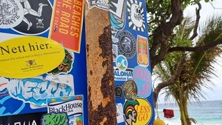 Ein „Nett hier“-Aufkleber klebt an einem Schild am north Shore von O'ahu in Hawaii.