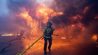 Feuermann kämpft gegen Flammen: Mehrere heftige Waldbrände in der Nähe von Los Angeles