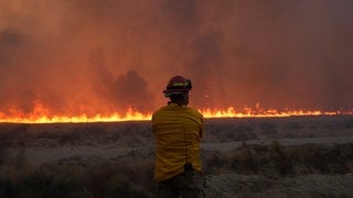 Ein Feuerwehrmann blickt auf Flammen des Hughes-Feuers in Kalifornien