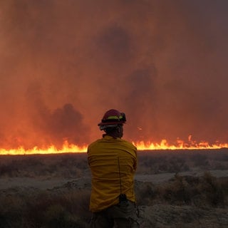 Ein Feuerwehrmann blickt auf Flammen des Hughes-Feuers in Kalifornien