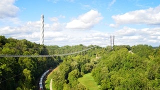 Eine Computergrafik der geplanten Fußgänger-Hängebrücke „Neckarline“ über das Neckartal in Rottweil.