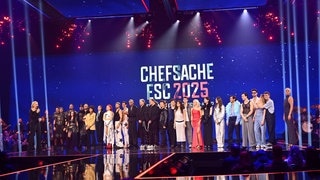 Die Finalisten für den deutschen Vorentscheid für den ESC stehen fest.