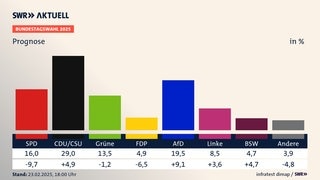 Die Prognose zur Bundestagswahl 2025 im Balkendiagramm