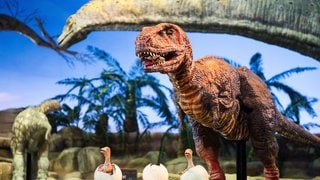 Dinosaurier im Prähistorium Schiffweiler