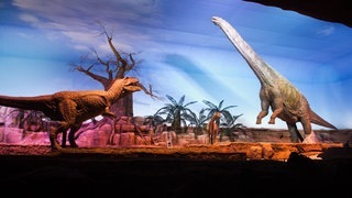 Dinosaurier im Prähistorium Schiffweiler