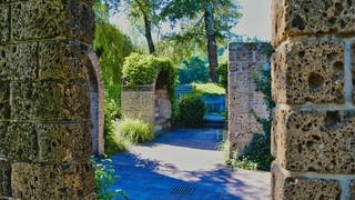 Der Enzauenpark in Pforzheim