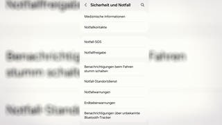 Screenshot von einem Smartphone, man sieht den Notfallpass auf Android