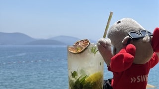 Der SWR3 Plüsch-Elch trinkt in Montenegro einen Cocktail.