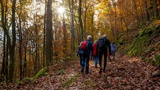 Gruppe von Wanderern im Pfälzerwald. Symbolbild für coole Abwesenheitsnotizen für den Urlaub.