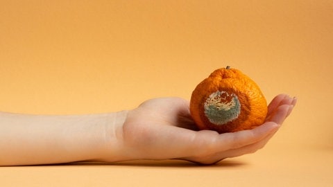 Eine Hand hält eine Mandarine mit Schimmel. Symbolbild für Artikel mit Tipps, bei welchen Lebensmitteln nur noch Wegwerfen hilft und bei welchen man auch noch die schimmeligen Stellen ausschneiden kann.