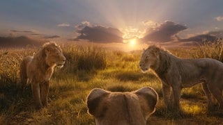 Drei Löwen stehen auf einer Lichtung. Bild aus dem Kinofilm „Mufasa – König der Löwen“