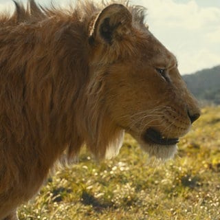 Szene aus dem Trailer zum Kinofilm 2024 „Mufasa: Der König der Löwen“