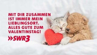 Lustige und schöne Whatsapp-Sprüche zum Valentinstag zum Verschicken