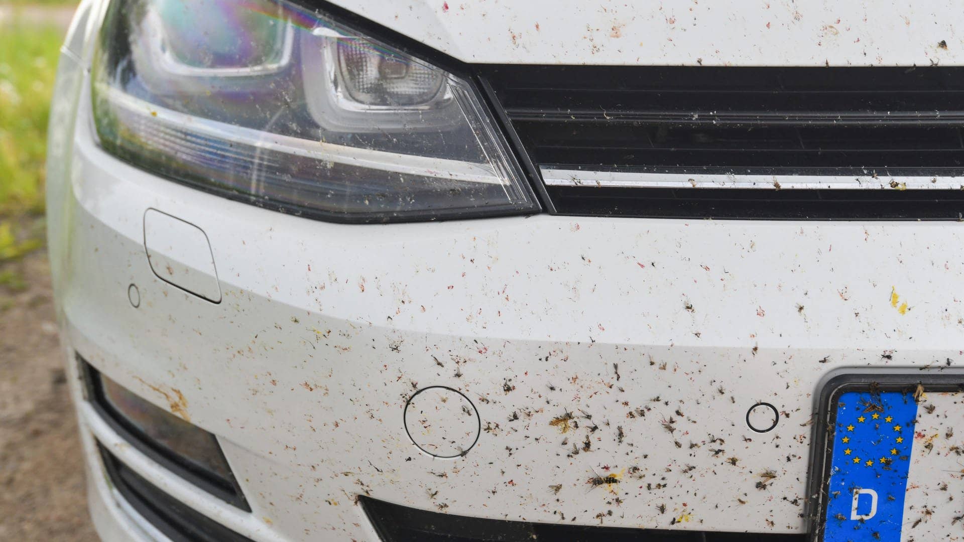 Mit Insekten und Vogelkot verschmutze Windschutzscheiben eines Autos. 
