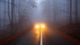 Auto fährt bei Nebel durch den Wald | Symbolbild für Autofahren bei Nebel: So kommst du sicher ans Ziel