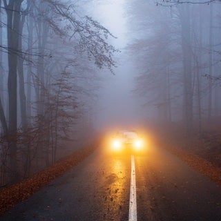 Auto fährt bei Nebel durch den Wald | Symbolbild für Autofahren bei Nebel: So kommst du sicher ans Ziel