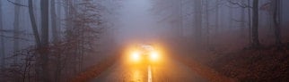 Auto fährt bei Nebel durch den Wald | Symbolbild für Autofahren bei Nebel: So kommst du sicher ans Ziel