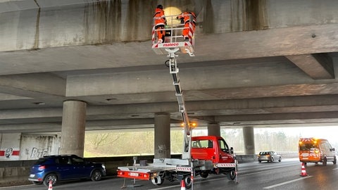 Fachleute prüfen eine A8-Brücke, die über die A81 läuft