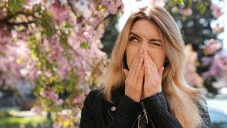 Frau hält sich wegen einer Pollenallergie und Heuschnupfen die Nase zu und schaut die Blüte der Bäume an.