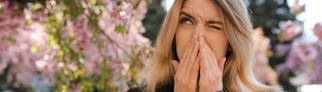 Frau hält sich wegen einer Pollenallergie und Heuschnupfen die Nase zu und schaut die Blüte der Bäume an.