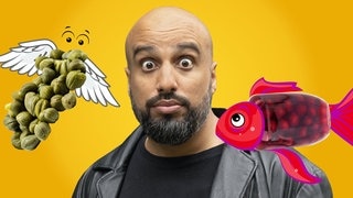 Comedian Abdel Karim zwischen zwei sehr komischen Tieren. Einmal fliegende Kapern und einmal ein Fisch mit Schattenmorellen-Kleid. Hintergrund ist ein Sketch von Abdelkarim bei dem es um Lebensmittelgeht, deren Namen so klingen, als dass es auch ein Tier sein könnte.