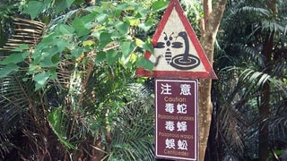 Taiwan: die Natur