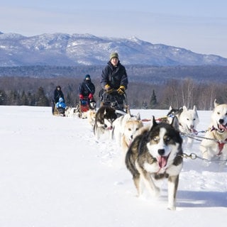 SWR3 Elch und weg – Quebec