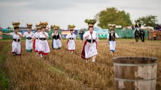 300. Markgröninger Schäferlauf. Frauen und Männer rennen übers Stoppelfeld