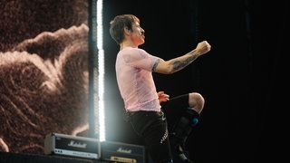 Red Hot Chili Peppers Konzert in Mannheim