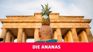 Podcast Doktorspiele, Folge: Die Ananas