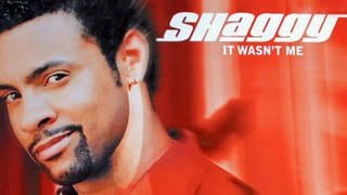 It Wasn't Me – Shaggy