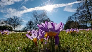 So gut tut uns der Frühling