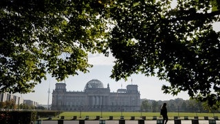 Sebastian Lehmann Elternzeit (346) Bundestagswahl