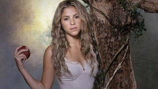 Whenever, Wherever – Shakira