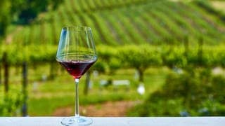 Ein Glas Rotwein vor Weinreben