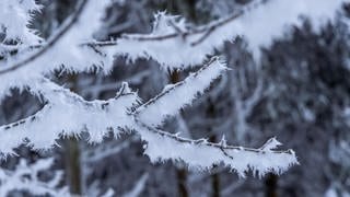 Tuten Gag: Übernierende Frässe  Überfrierende Nässe