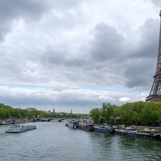 Peter Gedöns: Paris