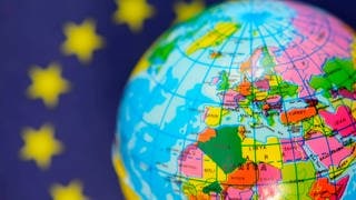 Kienzle und das Europawissen