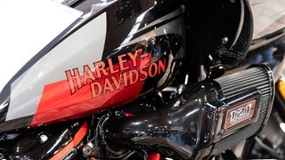 Harley