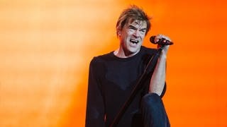 Die Toten Hosen