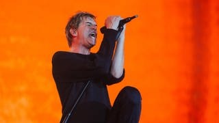 Die Toten Hosen