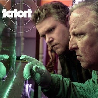 Kommissar Frank Thiel aus dem Münster Tatort bei Ermittlungen vor einem Aquarium